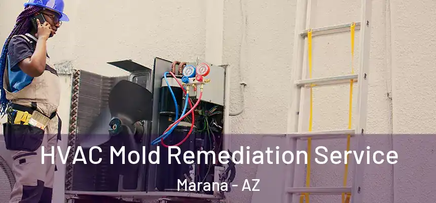  HVAC Mold Remediation Service Marana - AZ