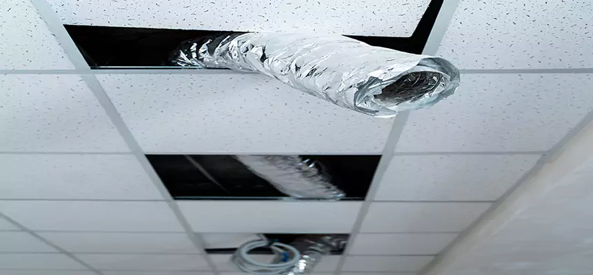 Affordable HVAC Sanitizing After Pest Removal in Marana