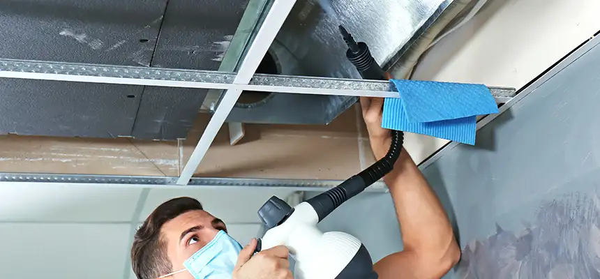 Our Air Duct Rodent Removal Services in Marana, AZ