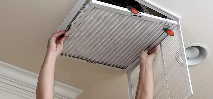 Our Insect Removal from Air Ducts Services in Marana, AZ