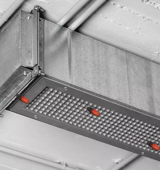 About Air Duct Cockroach Removal in Marana, AZ