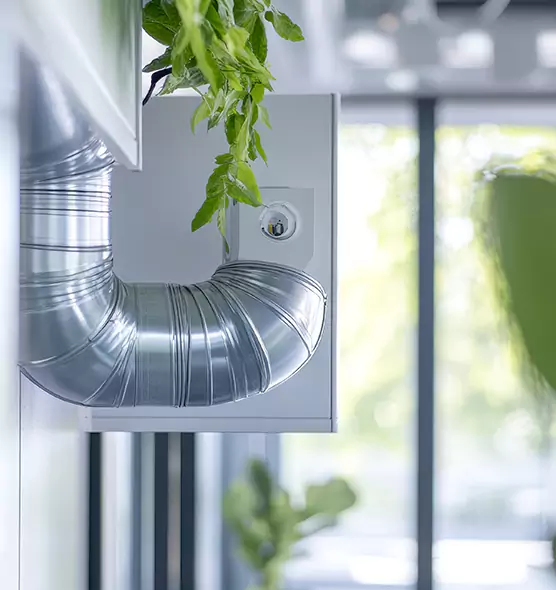 Professional Eco-Safe Dryer Vent Cleaning in Marana, AZ