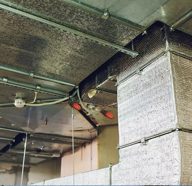 Why Homeowners & Businesses Trust Us in Marana, AZ?