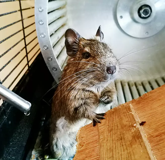 Why Homeowners & Businesses Trust Us Marana, AZ